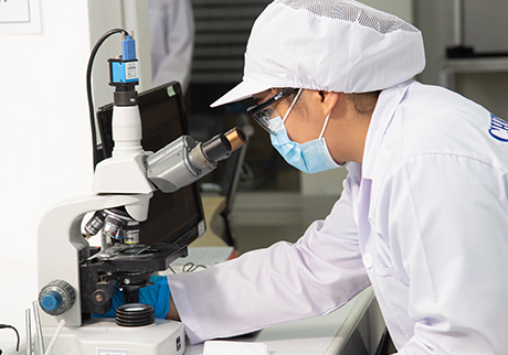 ::World Flex::Rubber Thread